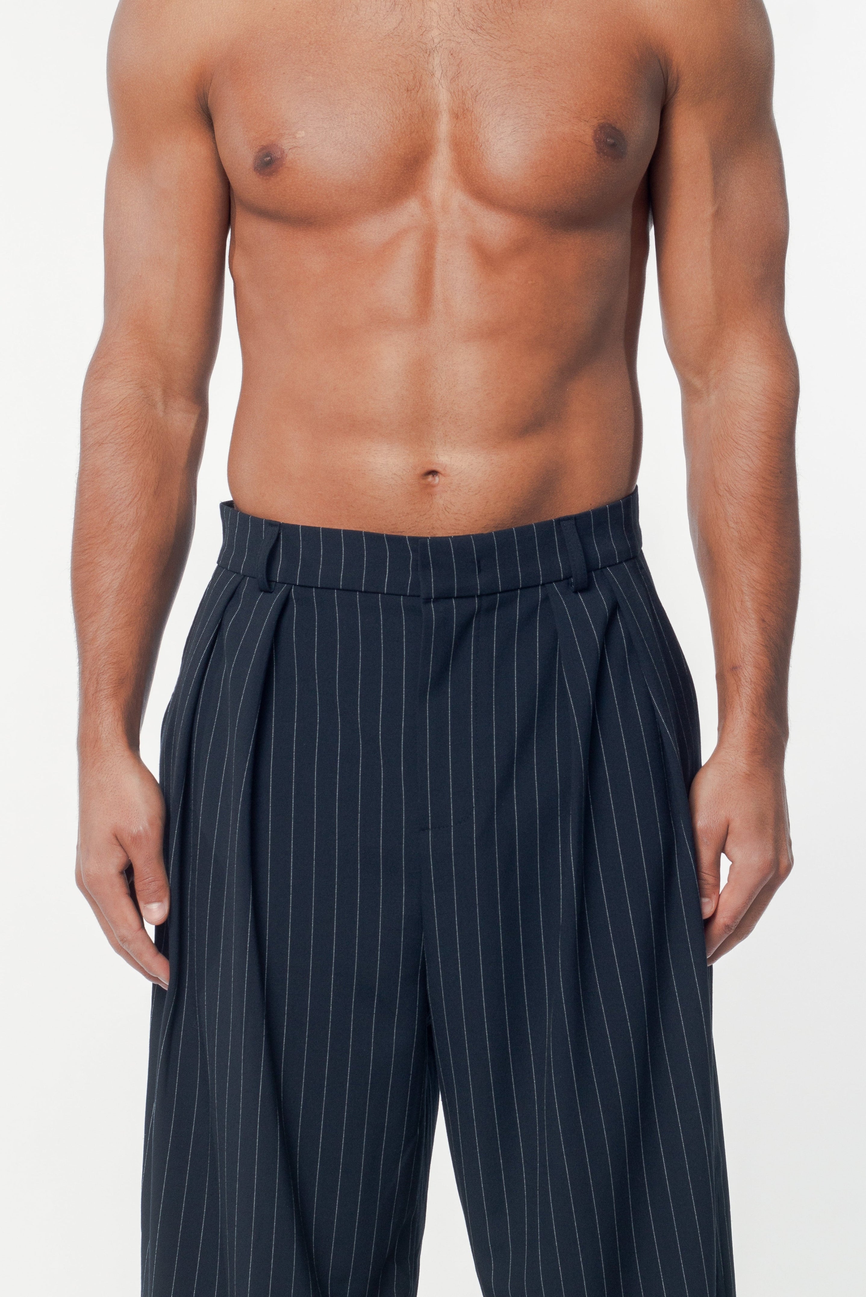 Benjamin Pants Navy Pinstripe